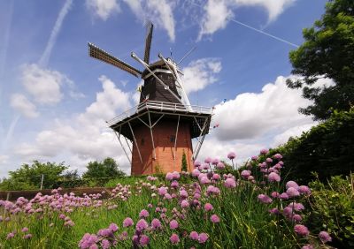 Nieberter-molen-12-juni-2021-foto-rienk-nadema-225242