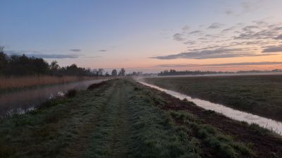 dauwtrappen natuur