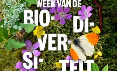 Dag van de biodiversiteit