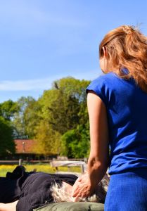 Paardencoaching  (2)