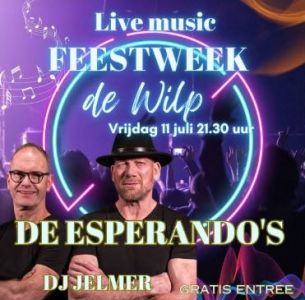Feestweek-de-wilp-2025 alles