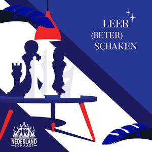 Cursus beter schaken