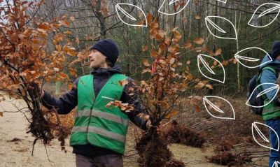 Meer bomen vergroenen