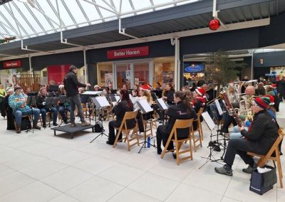 Cmv harmonie leek liekeblom kerst