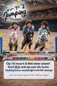 Hobbyhorsewedstrijden