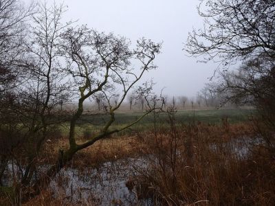 Lettelbert herfst (2)