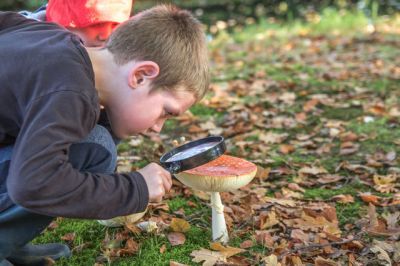 Paddenstoelen---wilco-van-der-laan---het-groninger-landschap-kind