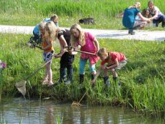 Wateractiviteit ivn  large