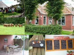 Theetuin collage klein