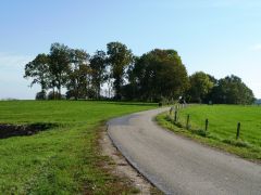 Wierum - wierde1
