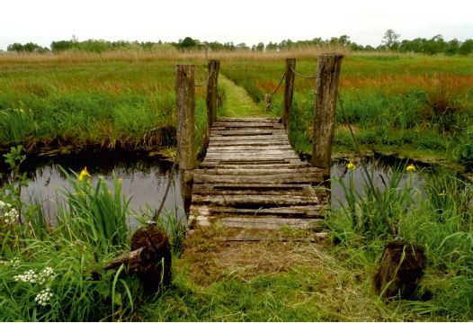 Wandelen in het Westerkwartier Beleven & doen - Hobby & Vrije Tijd - Welkom  in Zuidhorn