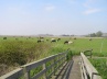 Middag humsterland, geen ruilverkaveling geweest, dus veel slingerwegen- en watertjes