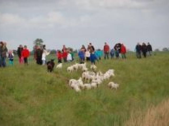 Avondvierdaagse Middag Humsterland