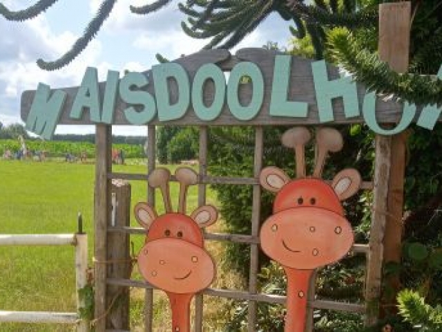 Maisdoolhof in De Wilp