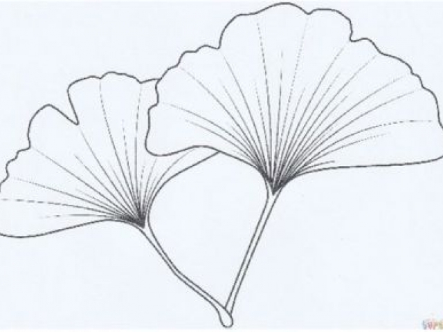 Stiltemoment, Loslaten en opladen