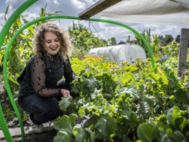Sanne Meijer over “Mien Grunnegs toentje”