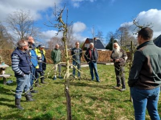 Workshop (fruit) bomen snoeien