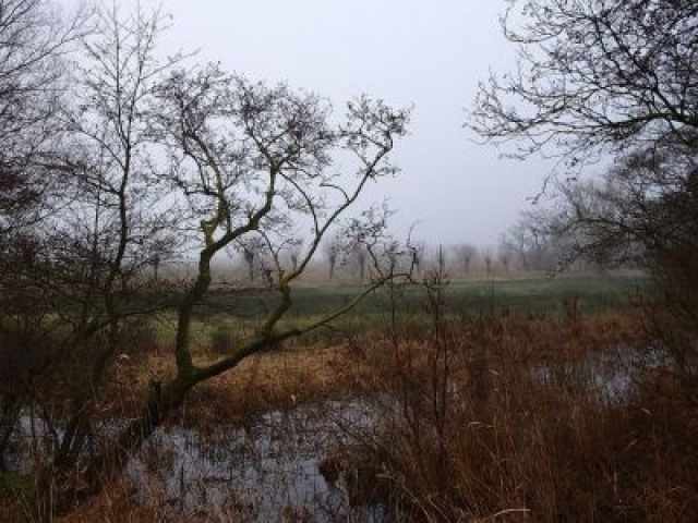 Herfstwandelen in de Lettelberterpetten
