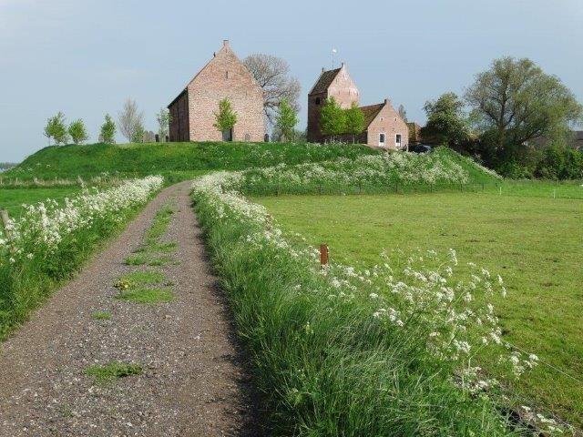 Excursie in Ezinge